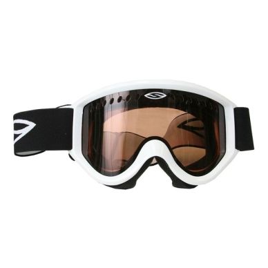 electra ski goggles