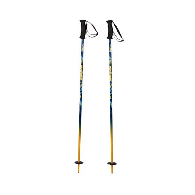 sport chek walking sticks