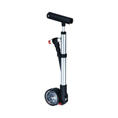 sport chek bike pump