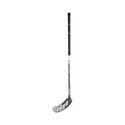 sport chek walking sticks