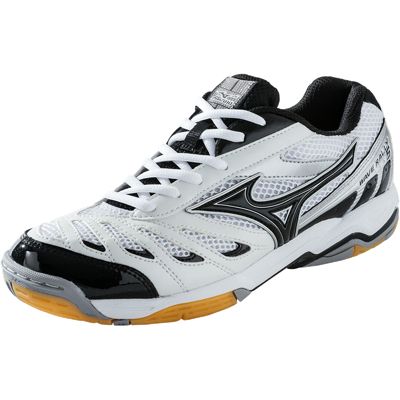 mizuno wave rally 2 volleyball shoes