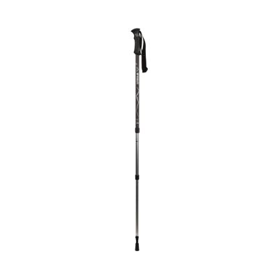 sport chek hiking poles