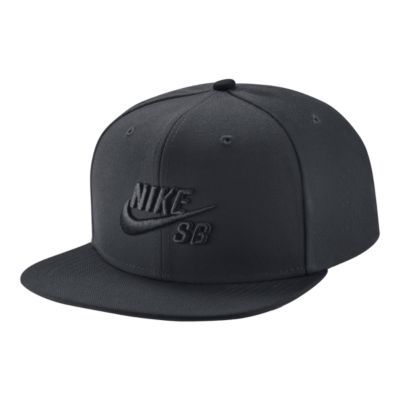 nike sb sports hat