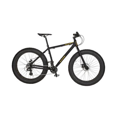 sport chek fat bike