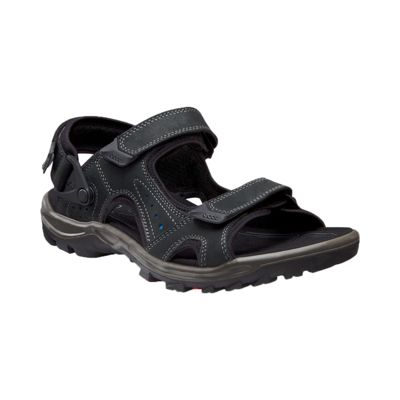 ecco track ii womens birch