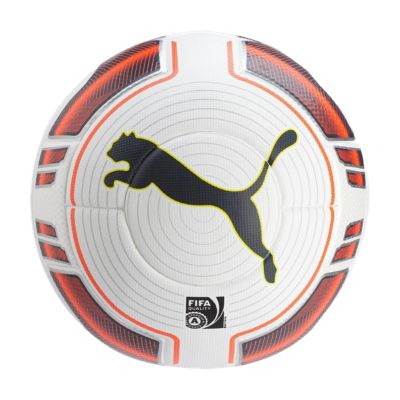 puma evospeed ball