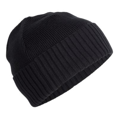 sport chek beanies