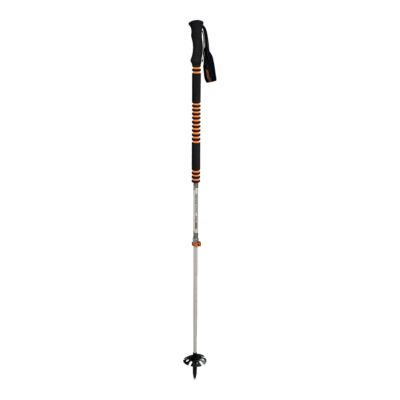 sport chek walking sticks