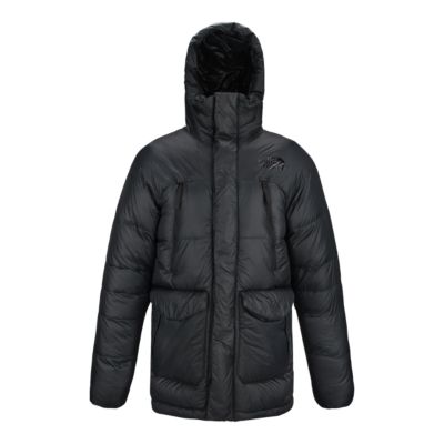 the north face polar journey parka