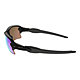 Oakley Flak 2.0 XL Polished Black Sunglasses with Prizm Golf Lenses