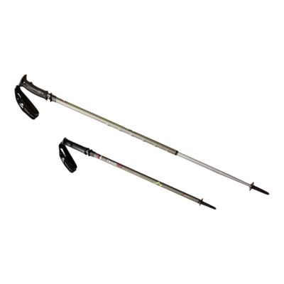 sport chek walking sticks