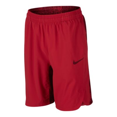 boys lebron shorts