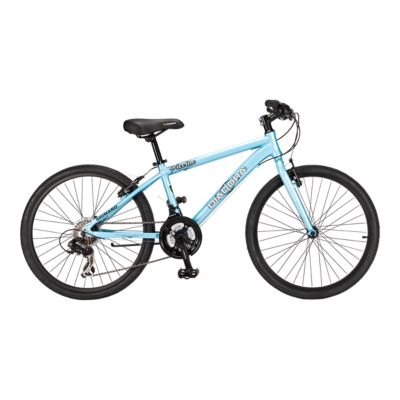 sport chek diadora bike