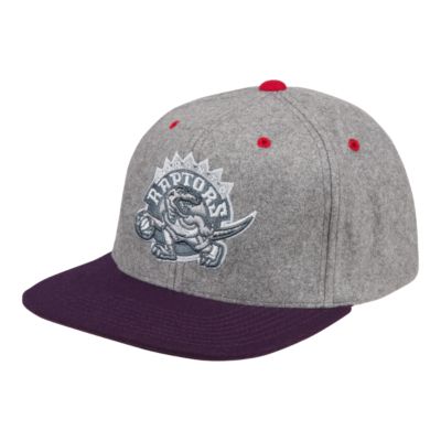 grey raptors hat