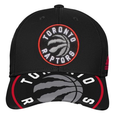kids raptors hat