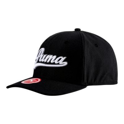 puma fitted hat