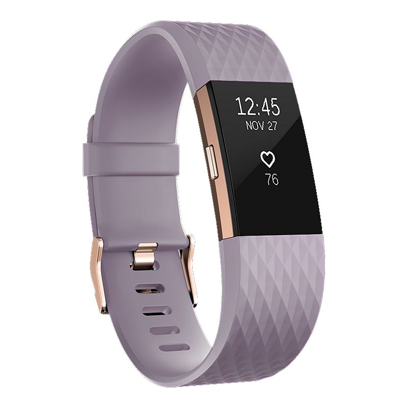 Sui Wees kapsel Fitbit Charge 2 Fitness Tracker - Lavender/Rose Gold Small | Sport Chek