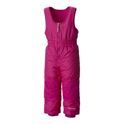 the north face legacy bib pants