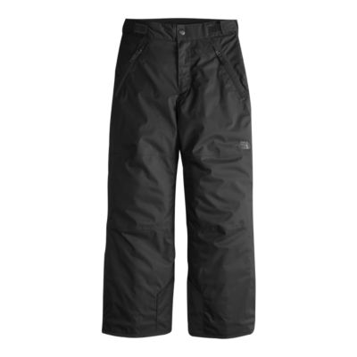 the north face snow pants