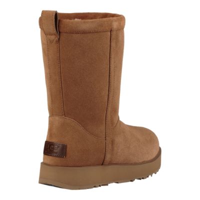 uggs chestnut