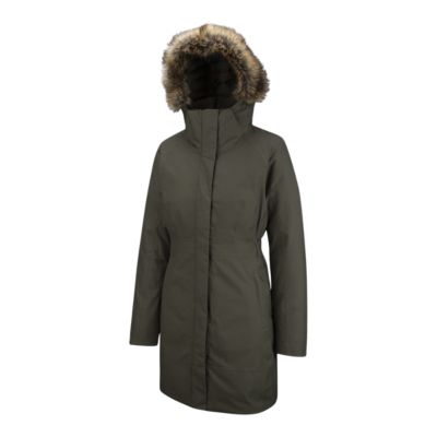the north face women's arctic down parka
