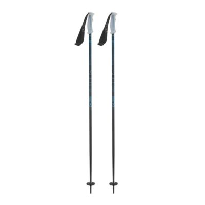 sport chek walking sticks