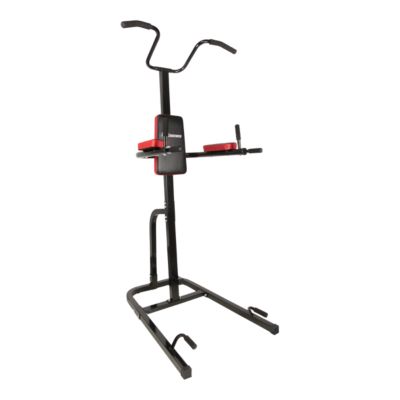 sport chek exercise bike