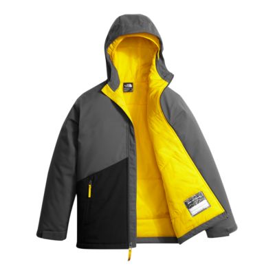 north face boys apex