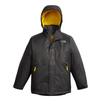 north face near and far jacket