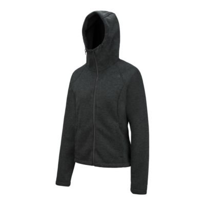 north face far northern hoodie