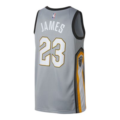 cleveland cavaliers the land jersey