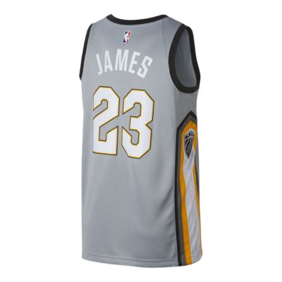 cleveland cavaliers jersey the land