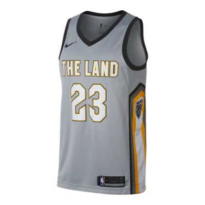 cleveland cavaliers the land jersey