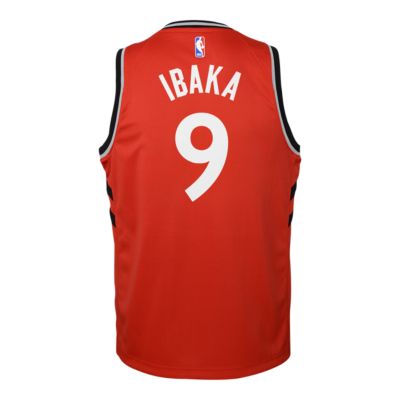 kids toronto raptors jersey