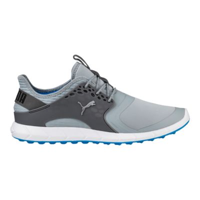 apl silver sneakers