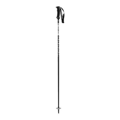 sport chek walking sticks