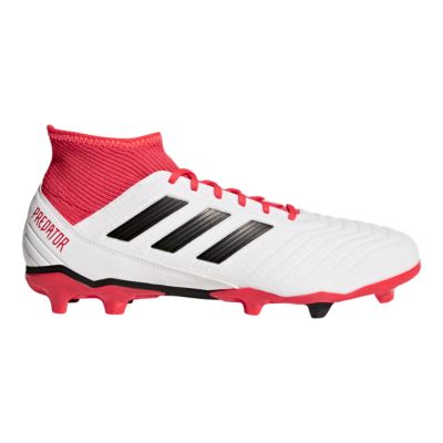 adidas Men's Predator 18.3 FG Outdoor 