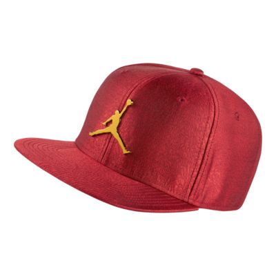 jordan jumpman ele ingot cap