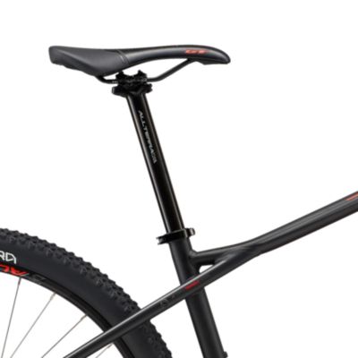 avalanche sport 2018