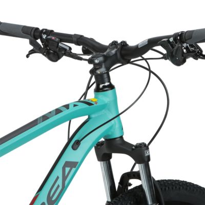 teal mountain bike