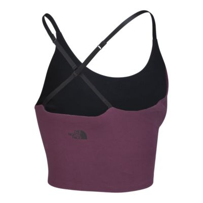 north face beyond the wall bra