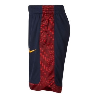 lebron james nike shorts