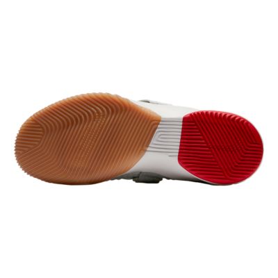 lebron soldier 12 sport chek