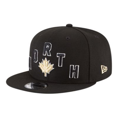 raptors hat sport chek