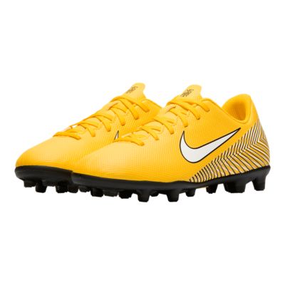 jr vapor 12