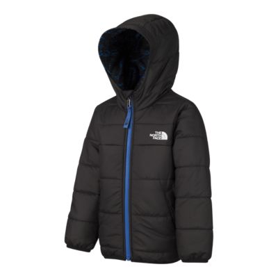 north face perrito toddler boy