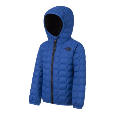 the north face boys thermoball hoodie
