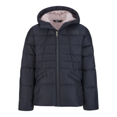 north face toddler moondoggy jacket