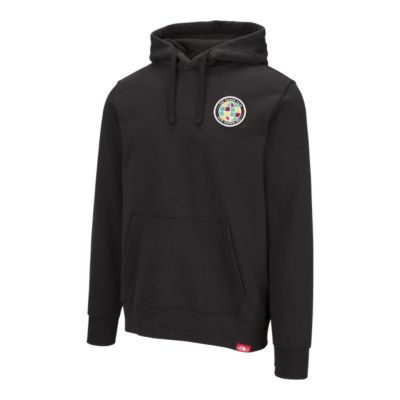 the north face bottle source pullover hoodie