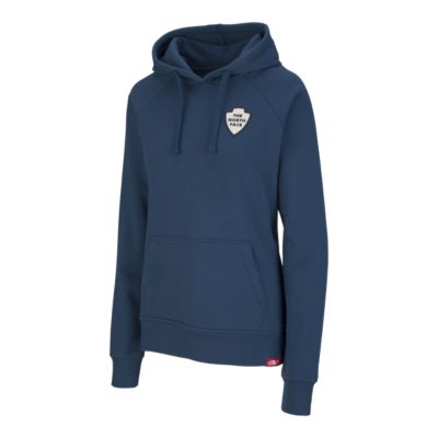 the north face women's bottle source pullover hoodie